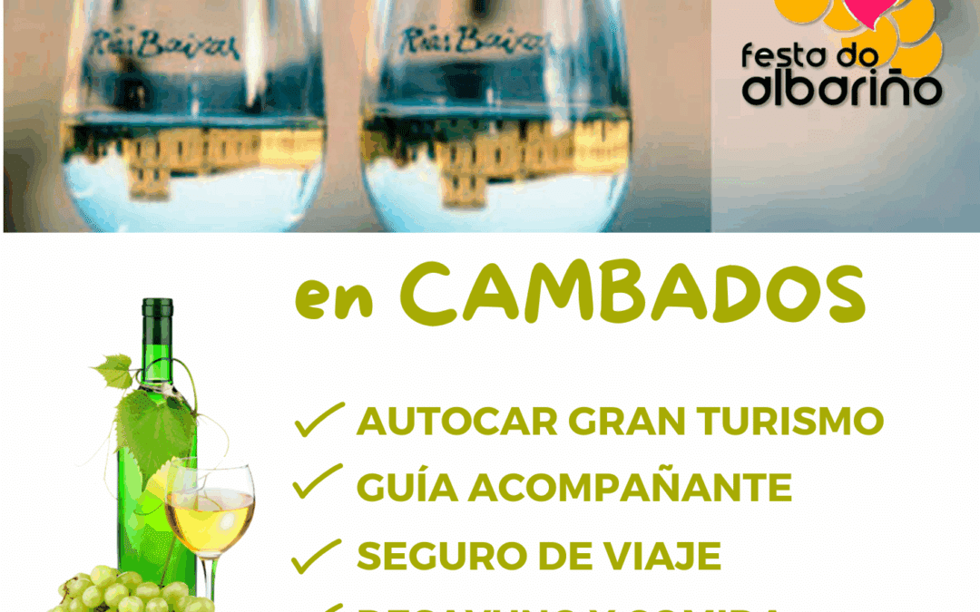 FESTA do ALBARIÑO en CAMBADOS